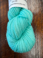 Cozy Color Works Trunk Show Fingering