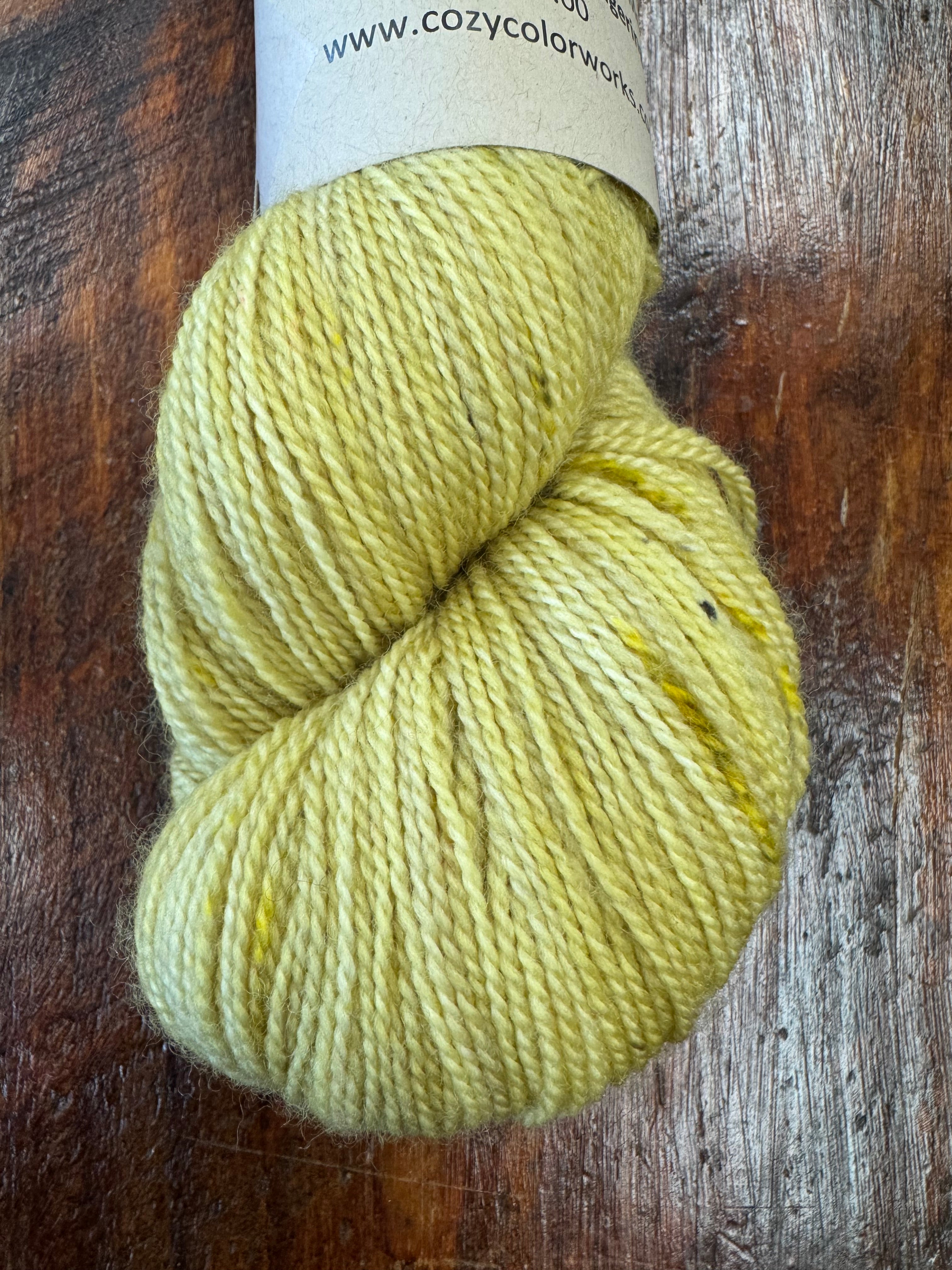 Cozy Color Works Trunk Show Fingering