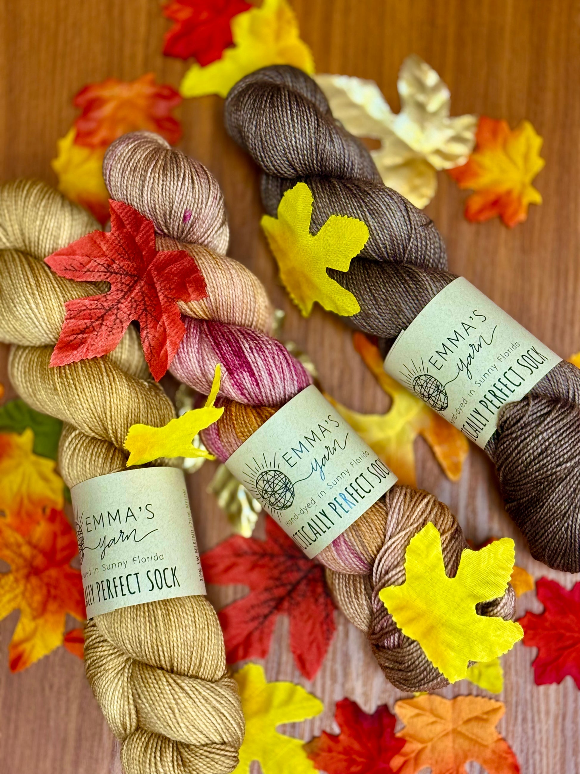 Three Philosophers Shawl Kit