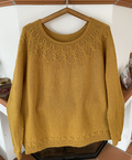 Sweater Project Class with Pam
