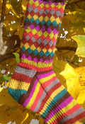 Fruit Stripe Socks Workshop with Angela