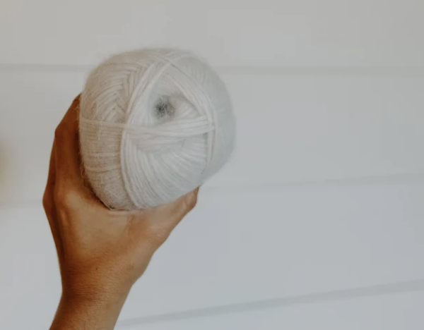 Isadora Popper Really Rosie