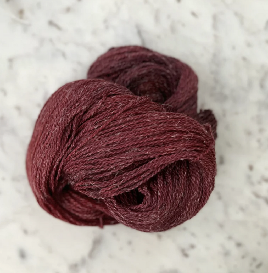 Little Fox Willow