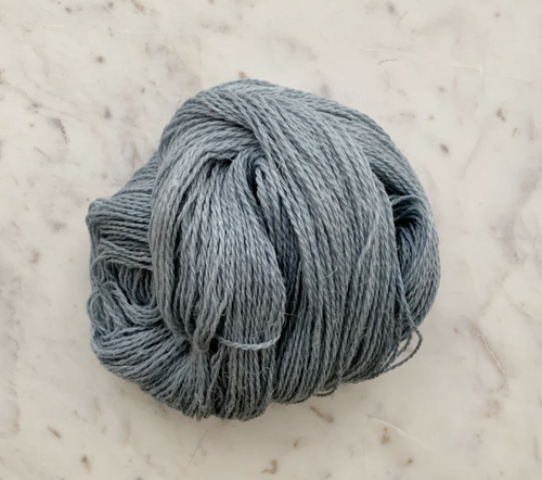 Little Fox Willow