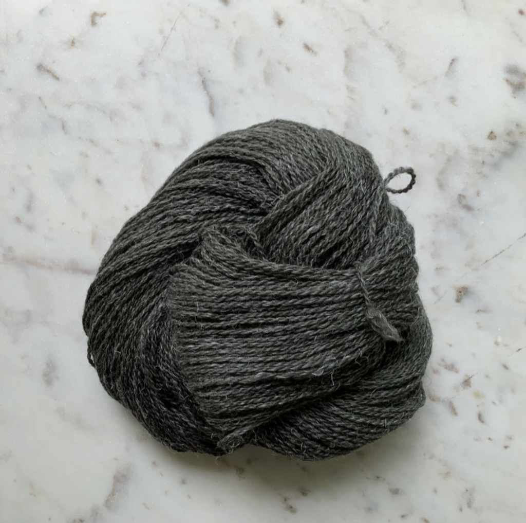 Little Fox Willow