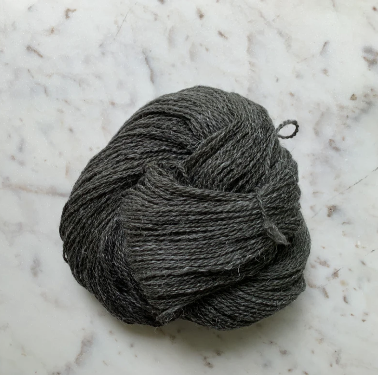 Little Fox Willow