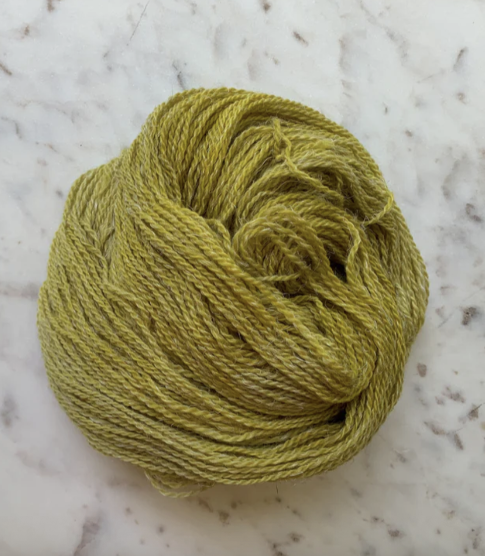 Little Fox Willow