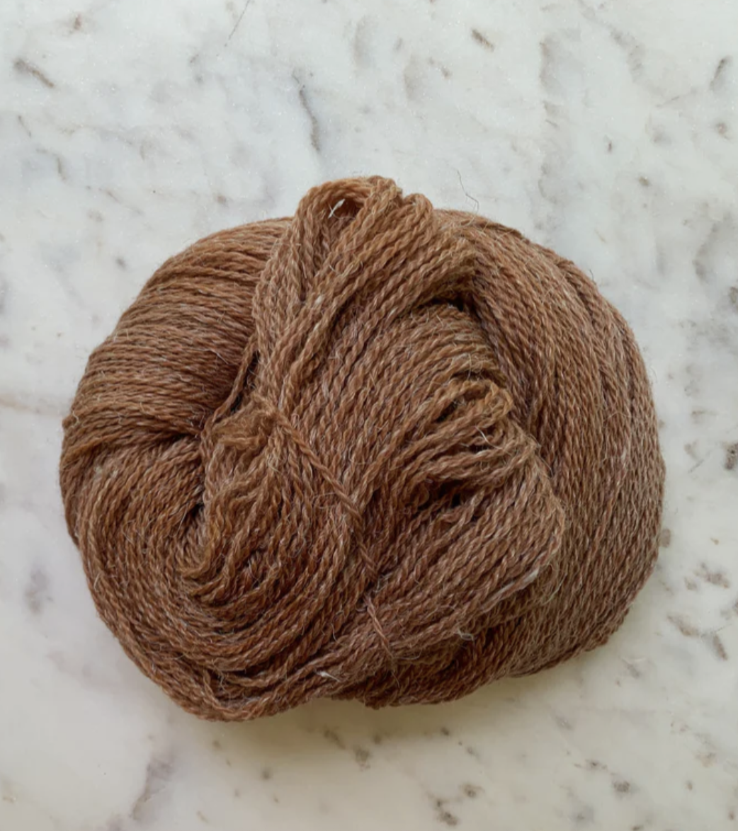 Little Fox Willow