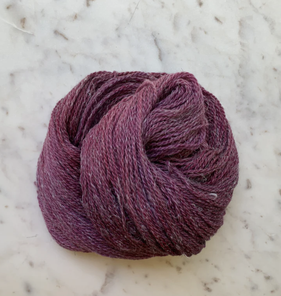 Little Fox Willow