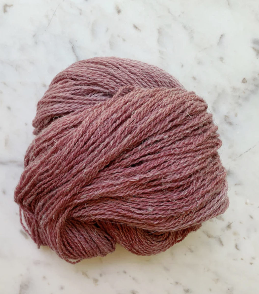 Little Fox Willow