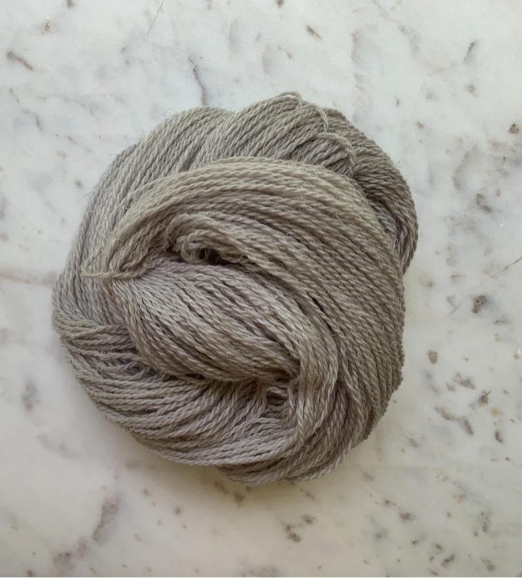 Little Fox Willow