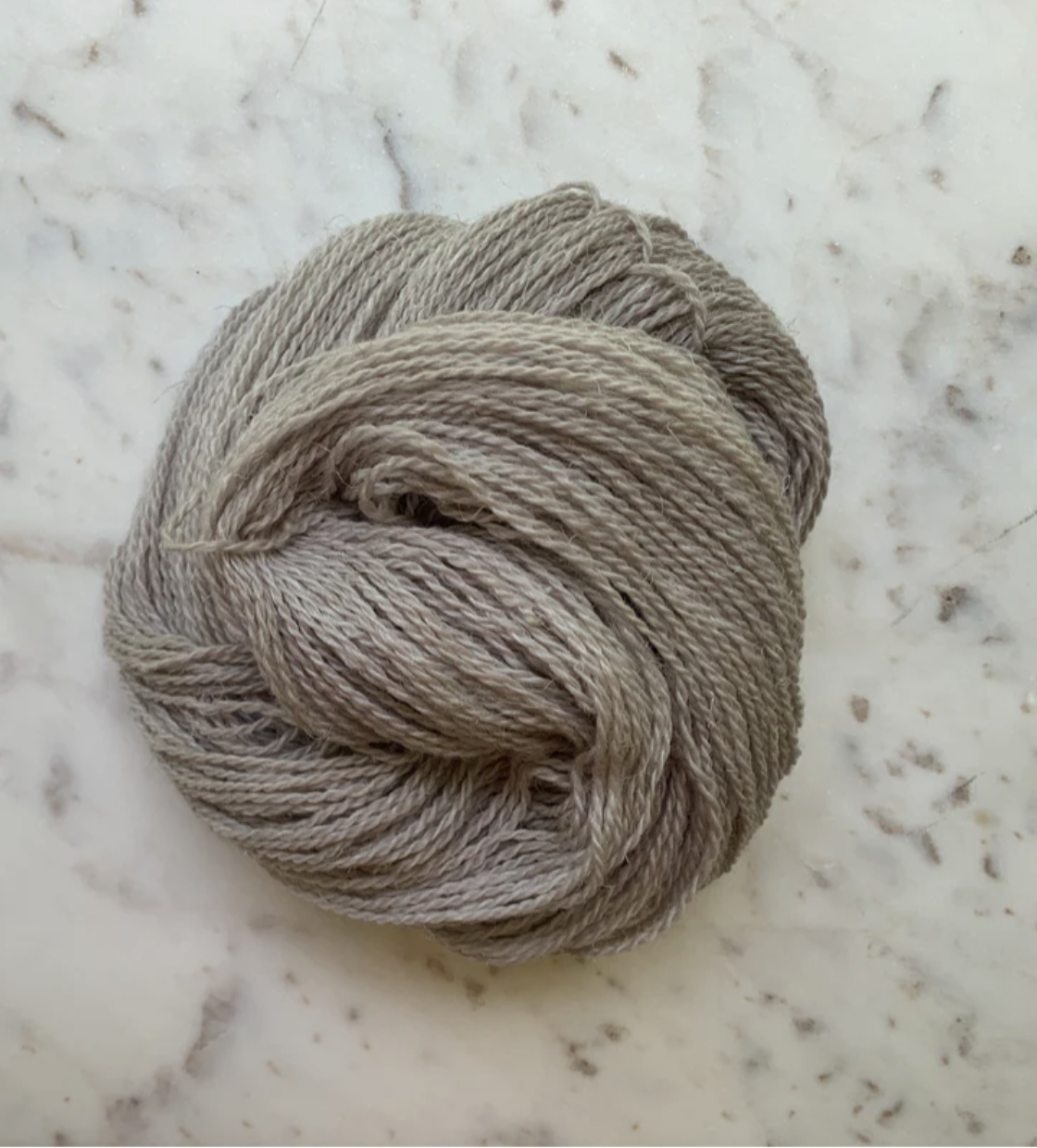 Little Fox Willow