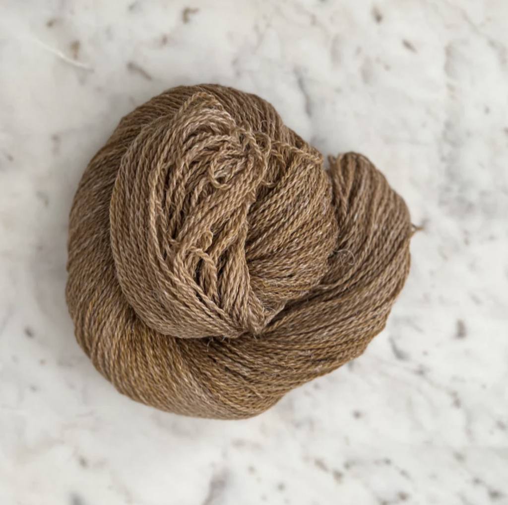Little Fox Willow