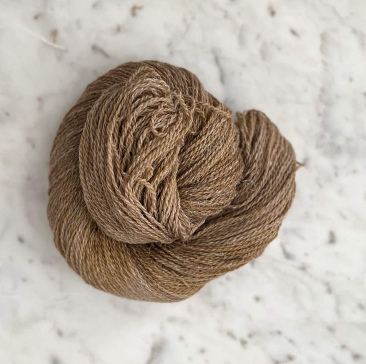 Little Fox Willow