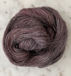 Little Fox Willow