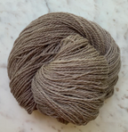Little Fox Willow