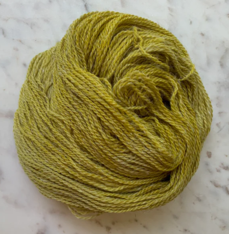 Little Fox Willow
