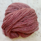 Little Fox Willow