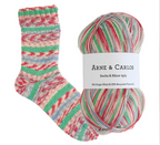 Arne & Carlos Socks Socks and More 4 ply