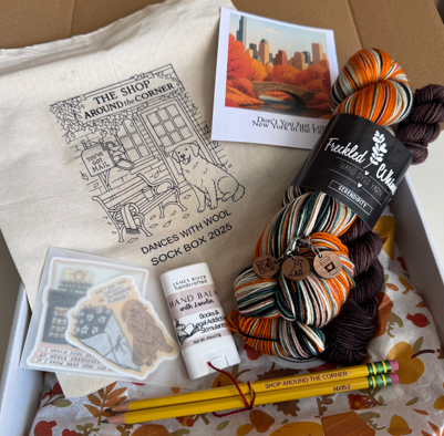 You've Got Mail!  Fall 2025 Sock Box