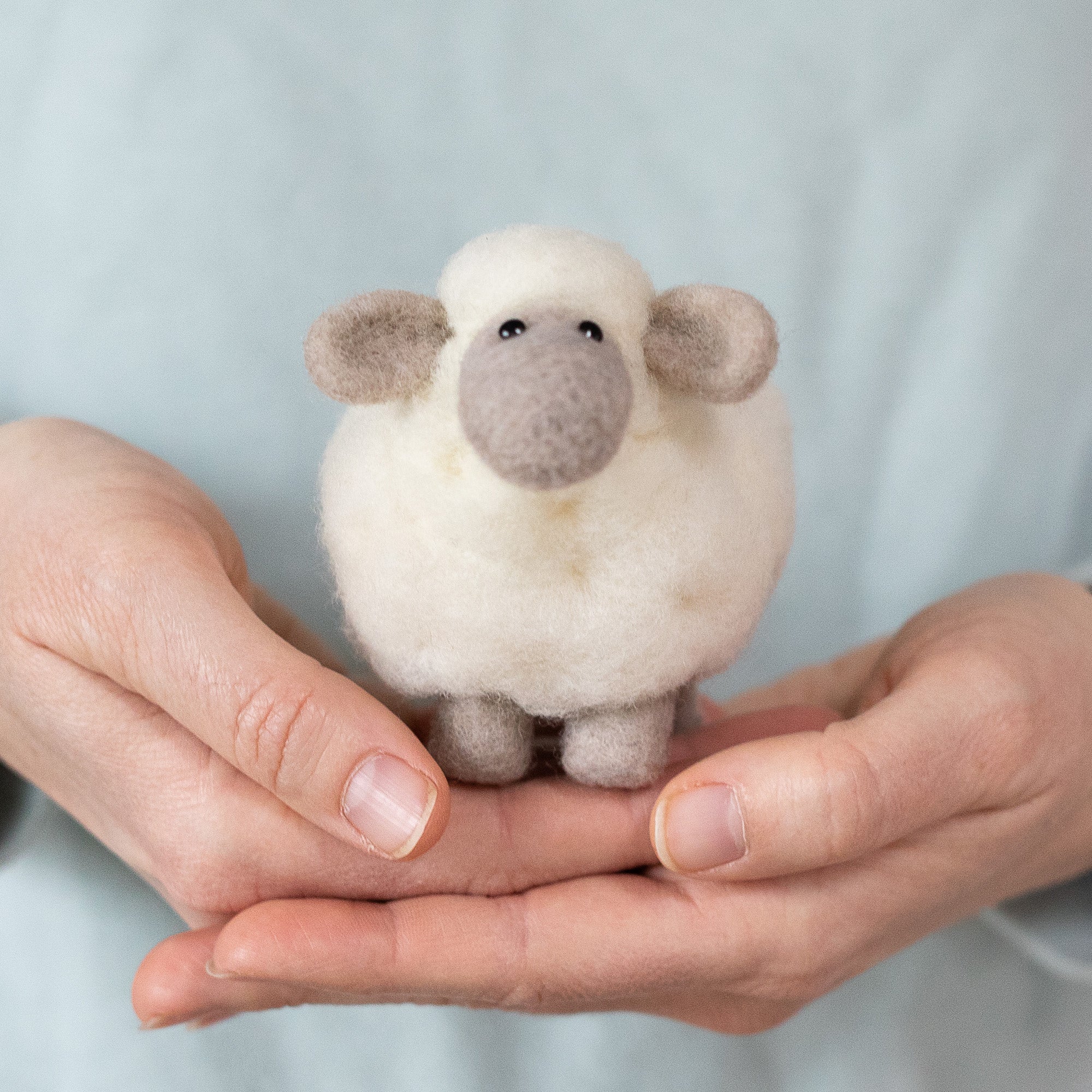 Felted Sky White Sheep Mini Needle Felting Kit